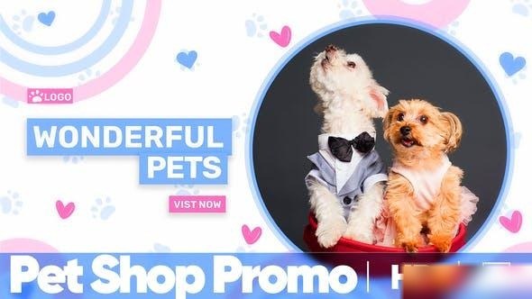 Videohive Pet Shop Promo Openers template preview