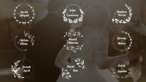 Videohive 30 Elegant Wedding Titles Titles template preview
