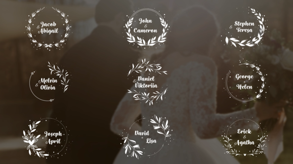 Videohive 30 Elegant Wedding Titles Titles template preview