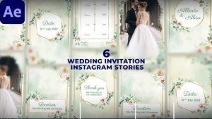 Videohive Wedding Invitation Instagram Stories 47523284 Product Promo template preview