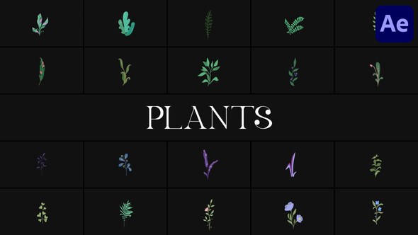 Videohive Plants for After Effects Elements template preview