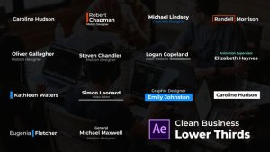 Clean Business Lower Thirds Video Displays template preview