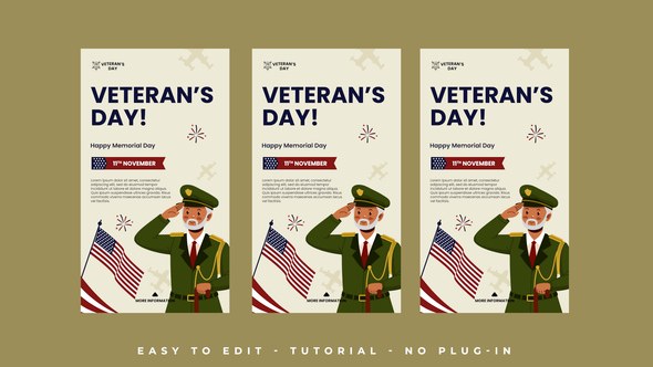 Videohive Veteran Day Instagram Stories Openers template preview