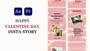 Videohive Valentine's Day Instagram Story Elements template preview