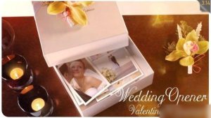 Videohive Wedding Opener / Valentine's Intro Openers template preview