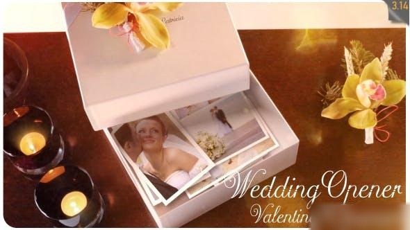 Videohive Wedding Opener / Valentine's Intro Openers template preview