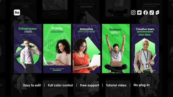 Videohive Business Instagram Stories 46152320 Product Promo template preview