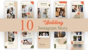 Videohive Wedding Instagram Stories Pack Video Displays template preview