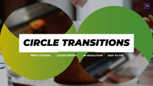 Videohive Circle Transitions | After Effects Elements template preview