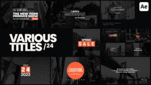 Videohive Various Titles 24 Titles template preview