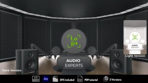 Videohive Audio Experts Logo Stings template preview