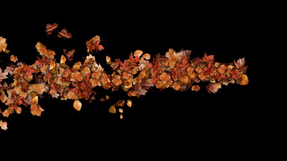 Videohive Autumn Leaves Particles Motion Path no Plugins Elements template preview