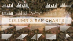 Videohive Infographics 53567665 Infographics template preview