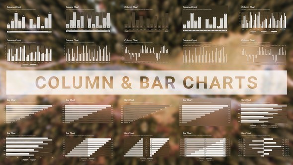 Videohive Infographics 53567665 Infographics template preview