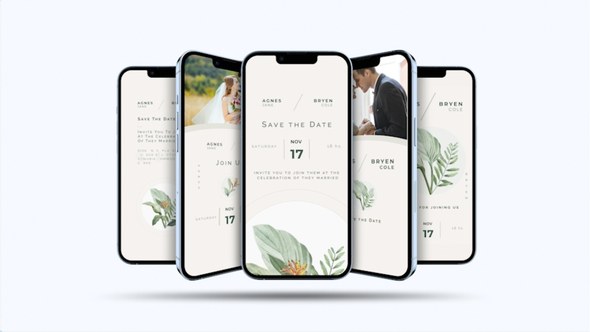 Videohive Wedding Invite Instagram Video Displays template preview