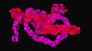Videohive Hearts Elements Creator Elements template preview