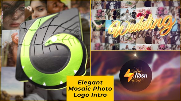 Videohive Elegant Mosaic Photo Logo Intro Logo Stings template preview