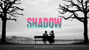 Videohive Shadow Logo Logo Stings template preview