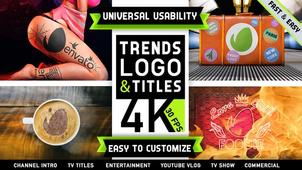 Videohive Trends Logo Channel Logo Stings template preview