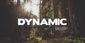 Videohive Dynamic Gallery Video Displays template preview