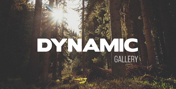 Videohive Dynamic Gallery Video Displays template preview