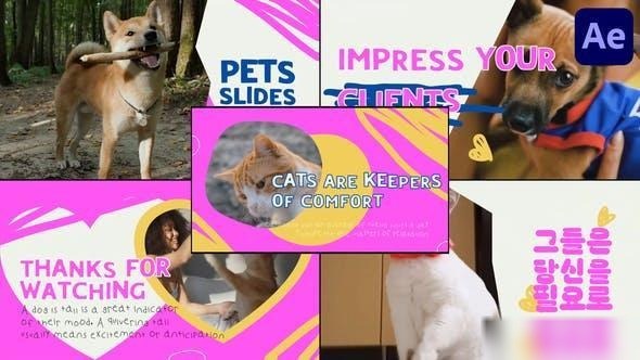 Videohive Slides Pets | After Effects Openers template preview