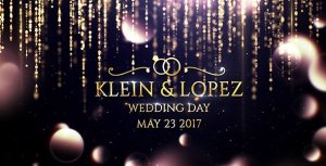 Videohive Wedding Opener 19773635 Openers template preview