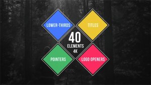 40 Simple Titles - Lower Thirds - Pointers - Logo Openers Video Displays template preview