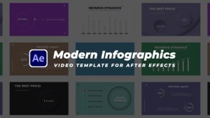 Videohive Modern Infographics 47530276 Infographics template preview