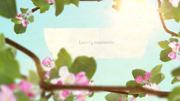 Videohive Lovely Moments Openers template preview