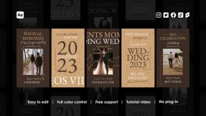 Videohive Wedding Instagram Reels 48461338 Product Promo template preview