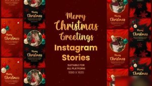 Videohive Christmas Greetings Instagram Stories 55093542 Openers template preview
