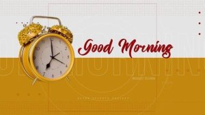 Videohive Good Morning Intro Openers template preview