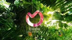 Summer Tries Logo 2 Elements template preview