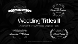 Videohive 15 Wedding Titles II Titles template preview