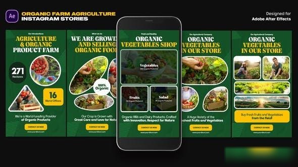 Videohive Organic Farm Agriculture Instagram Stories Openers template preview