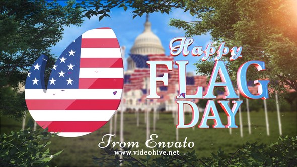 Videohive Flag Day Logo Logo Stings template preview