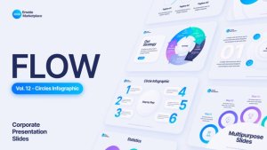 Videohive Flow - Circles Infographic Scenes Pack Video Displays template preview