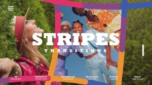 Videohive Colorful Splines Transitions Elements template preview