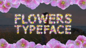 Videohive Field Flowers Typeface and Transition Elements template preview
