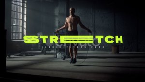 Videohive Stretched Fluid Titles Titles template preview