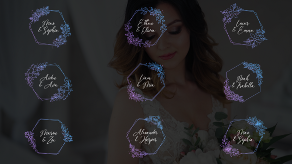 Videohive Wedding Titles - Hexagon Frames Titles template preview