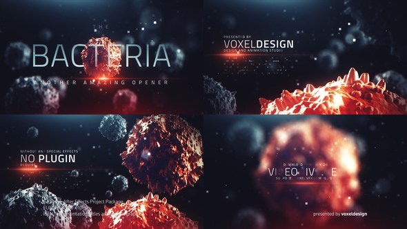 Videohive The Bacteria Infection Opener Openers template preview