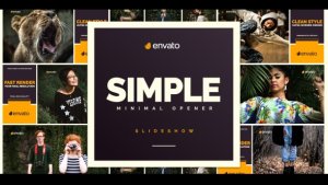 Videohive Simple Opener 20449531 Openers template preview