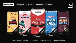 Christmas Instagram Stories / Sale Video Displays template preview