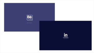 Videohive Company Logo Reveal 2 In 1 Logo Stings template preview