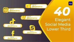 Videohive Elegant Social Media Lower Third Elements template preview