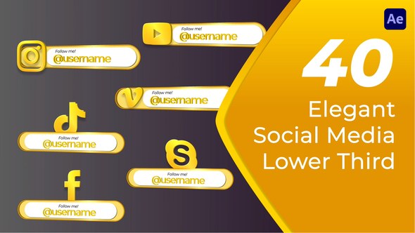 Videohive Elegant Social Media Lower Third Elements template preview