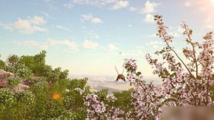 Videohive Spring Forest Nature Logo Logo Stings template preview