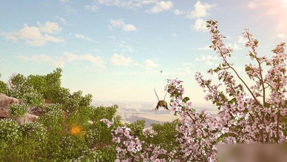 Videohive Spring Forest Nature Logo Logo Stings template preview